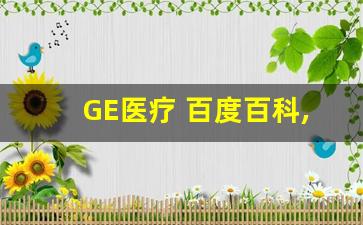 GE医疗 百度百科,ge医疗器械公司简介